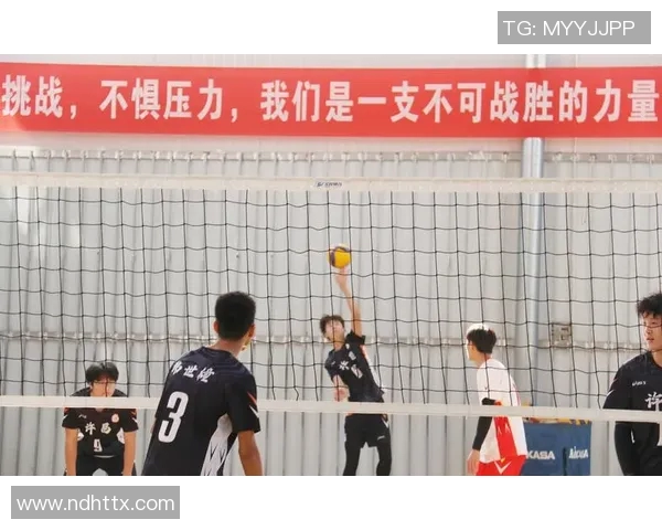 上海排球队心理素质排名第一最新排球心理素质TOP10揭晓 上海排球队心理素质排名第一最新排球心理素质TOP10揭晓