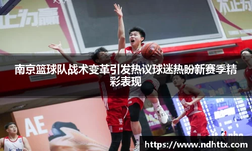 南京篮球队战术变革引发热议球迷热盼新赛季精彩表现