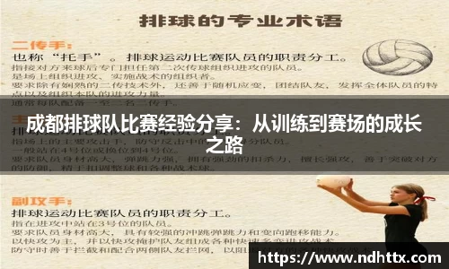 成都排球队比赛经验分享：从训练到赛场的成长之路