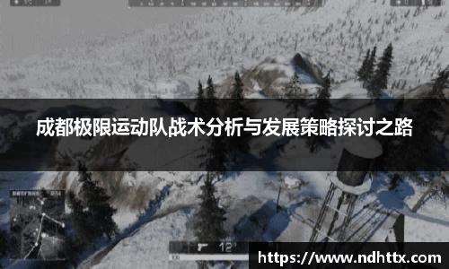 成都极限运动队战术分析与发展策略探讨之路
